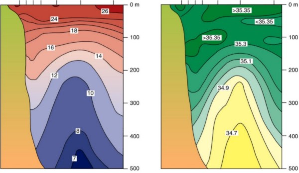 Temperature & Salinity Sections